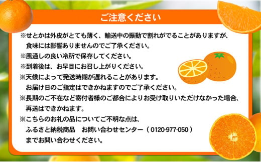 愛媛県砥部町のふるさと納税 愛媛県産せとか（露地）[50R0835]【高島屋選定品】 [№5310-0002]