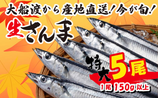 【近日解禁】特大さんま 150g以上 5尾 冷蔵 期間限定 鮮秋刀魚 [発送:2024年9月～2024年10月下旬] 三陸 岩手 大船渡市 サンマ