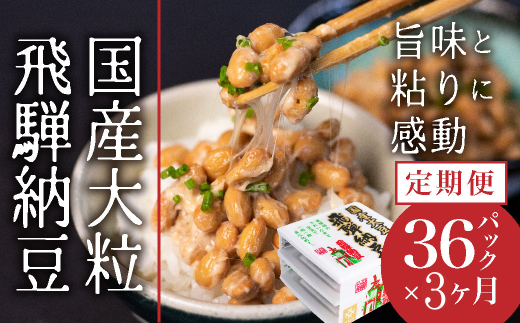 飛騨納豆 3連パック×12個×3回お届け 定期便 2129031 - 岐阜県飛騨市