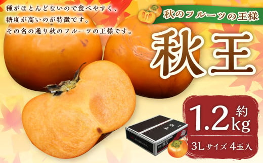 福岡県ブランド柿「秋王」約1.2kg 3Lサイズ 4玉入り 柿 カキ かき 果物 くだもの フルーツ 【2024年10月下旬～11月下旬発送予定】 1393041 - 福岡県岡垣町