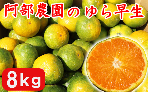 【訳あり品】阿部農園の「ゆら早生 約8kg」 ／ ミカン みかん 蜜柑 柑橘類 訳あり 10月 温州みかん 早生 人気 極早生 数量限定 フルーツ 【202410_受付終了】果物 ＜112-004_5＞ 1078151 - 大分県杵築市
