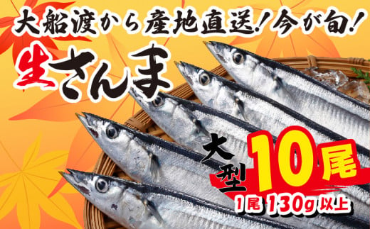 さんま 大型10尾 冷蔵 鮮秋刀魚 期間限定 [発送:2024年9月～2024年11月下旬] 三陸 岩手 大船渡市 1005881 - 岩手県大船渡市