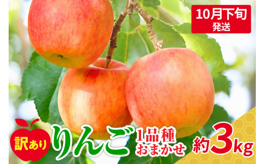 [2024年10月下旬発送]おまかせ 訳ありりんご 約 3kg (7〜12個程度) 青森 |選べる配送時期| りんご 青森 五所川原 3kg 程度