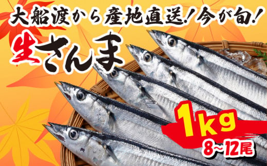 さんま 約1kg 8尾～12尾 冷蔵 鮮秋刀魚 [発送:2024年9月～2024年11月下旬] 三陸 岩手 大船渡市 サンマ 秋刀魚 生