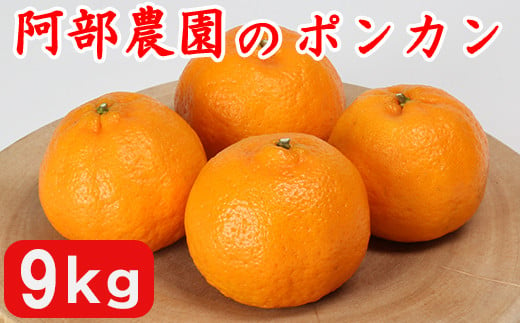 阿部農園の「ポンカン 約9kg」 みかん 柑橘類 先行予約 1月 数量限定 フルーツ [112-005_5]