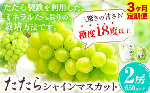 【令和7年度産先行予約】 【3回定期便】マスカット シャインマスカット 2~3房(計約1.3kg)《8月下旬-10月下旬頃出荷》たたらみねらる ギフト 糖度18度以上 フルーツ 種無し ぶどう 葡 Y&G．ディストリビューター 岡山県 笠岡市 定期便