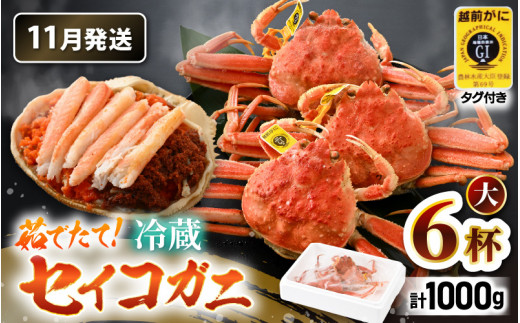 【先行予約】【冷蔵】旬のセイコガニ 大 6杯  計1.0kg以上（茹で前）説明書付き【2025年11月上旬以降順次発送予定】全て地物！ 天然！ ズワイガニメス [m21-x006_11]