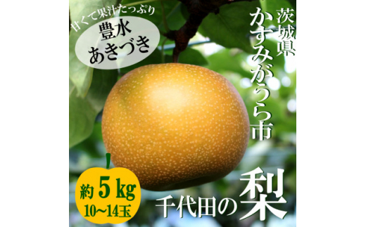 [2025年出荷受付]茨城県 千代田の梨(豊水・秋月いずれか)約5kg