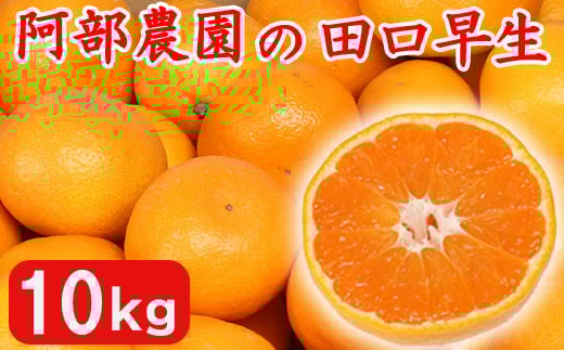 【訳あり品】阿部農園の「田口早生 約10kg」 ／ ミカン みかん 蜜柑 柑橘類 10kg 糖度 訳あり 11月 先行予約 年内配送 甘い 温州みかん 早生 年内発送 フルーツ ＜112-001_5＞ 955909 - 大分県杵築市