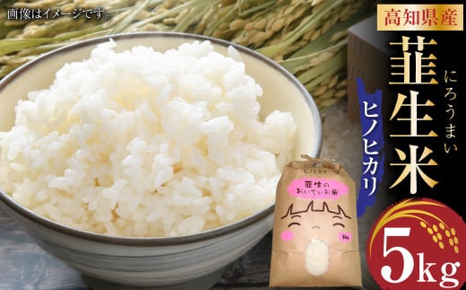 【令和6年産】米ヒノヒカリ 韮生米 高知県産 5kg 【2024年9月下旬~2025年１月下旬迄発送】 お米 米 ヒノヒカリ ひのひかり 精米