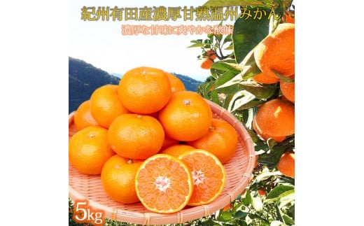 紀州有田産濃厚甘熟温州みかん5kg[2025年11月下旬以降発送][先行予約][UT09w]