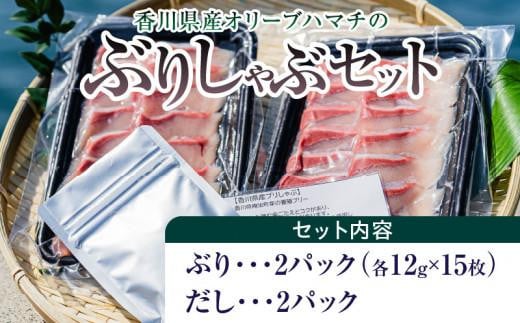 香川県産オリーブハマチのぶりしゃぶセット 1344063 - 香川県高松市