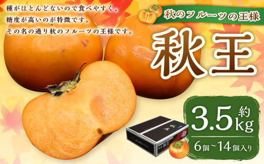 ブランド柿「秋王」約3.5kg 柿 カキ かき 果物 くだもの フルーツ 【2024年10月下旬～11月下旬発送予定】