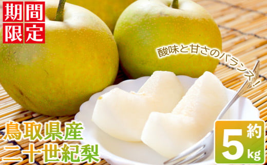 ＜数量限定＞＜8月下旬～9月上旬発送＞鳥取県産二十世紀梨(約5kg)【sm-BZ006・sm-BZ007】【岡田商店】 1421386 - 鳥取県境港市