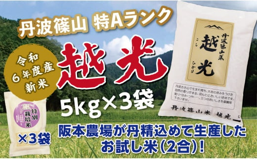 令和６年産　新米予約受付！！　丹波篠山産特Aランク越光（５kｇ×３袋） 753928 - 兵庫県丹波篠山市