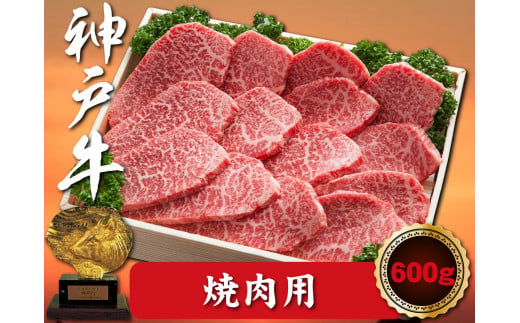 神戸牛 焼肉用　600g　SOY2 1416679 - 兵庫県新温泉町