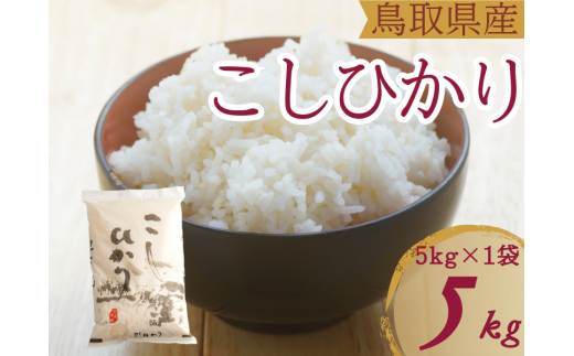 米 こしひかり5kg 鳥取県産 こめ 精米 コシヒカリ 5キロ 令和6年産 送料無料 1052