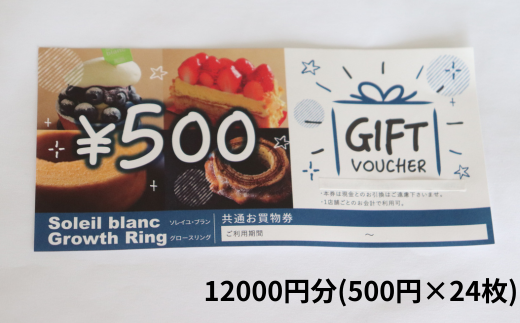 店舗利用券12000円分 1420202 - 岐阜県垂井町