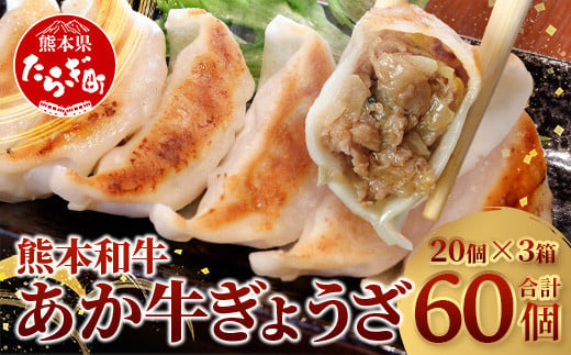 【餃子】 熊本和牛 あか牛 ぎょうざ セット ＜熊本あか牛餃子20個入り×3箱＞【 熊本県 和牛 あか牛 冷凍 生餃子 ぎょうざ おかず 総菜 お弁当 】 046-0640 1416381 - 熊本県多良木町