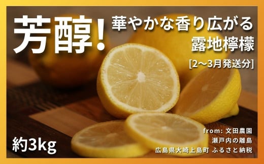 [2~3月発送] 芳醇! 文田農園のレモン 約3kg 瀬戸内 広島 大崎上島 離島 柑橘 檸檬 露地栽培 1423249 - 広島県大崎上島町