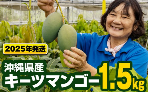 【2025年発送】沖縄県産キーツマンゴー1.5kg