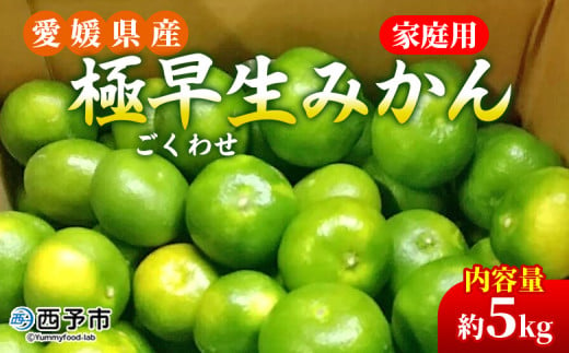 先行予約＜愛媛県産 極早生みかん 約5kg ご家庭用＞ 温州みかん 家庭用 訳あり 果物 ミカン 柑橘 フルーツ 選べる 食べて応援 特産品 段畑みかん 愛媛県 西予市【常温】 275882 - 愛媛県西予市