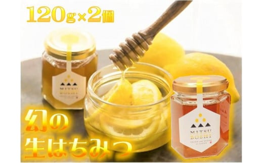 ニホンミツバチ100%の蜂蜜　2本入りギフトセット 1417182 - 鳥取県米子市