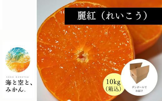 唐津産ハウス育ち「麗紅」箱込10kg