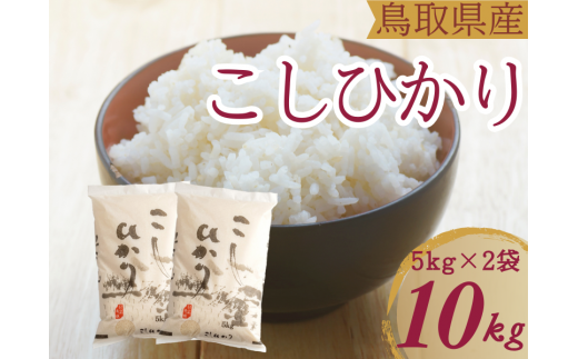 米 こしひかり5kg×2 計10キロ 鳥取県産 こめ 精米 コシヒカリ 令和6年産 送料無料 1053