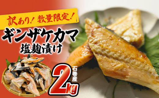 活タコ はじめてセット 炙り焼き 旨味蒸し ヤンニョム たこ タコ おかず おつまみ - 宮城県石巻市｜ふるさとチョイス - ふるさと納税サイト