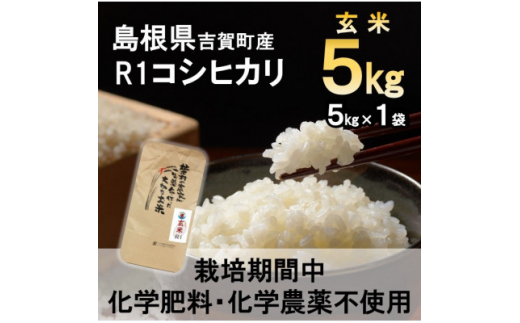 ＜栽培期間中化学肥料・化学農薬不使用＞令和6年産R1米コシヒカリ5kg(玄米)【1448680】 1084543 - 島根県吉賀町