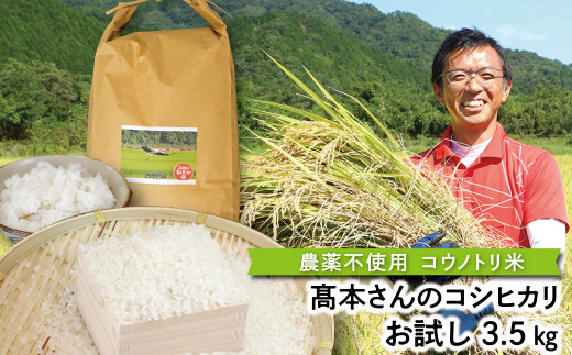 【新米予約】高本さんちのコウノトリ育む農法(農薬不使用)のお米 3.5kg【44678】令和6年産 新米予約 農薬不使用 コシヒカリ お米 安心 安全 良質 特別栽培米 美味しい 3.5㎏ お試し コウノトリ 高本農場