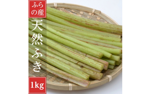 2026年先行予約　北海道富良野産　天然物 蕗 (ふき)1kg【1522299】