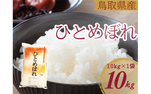 米 ひとめぼれ 10kg 鳥取県産 こめ 精米 10キロ 令和6年産 送料無料 1054