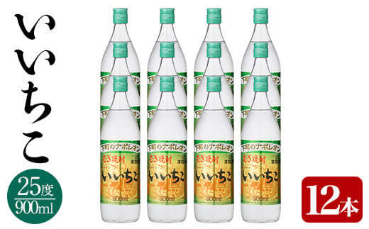 いいちこ ビン セット(計10.8L・900ml×12本)酒 お酒 むぎ焼酎 900ml 麦焼酎 いいちこ 常温 三和酒類 セット【104304500】【山添産業】 245313 - 大分県宇佐市