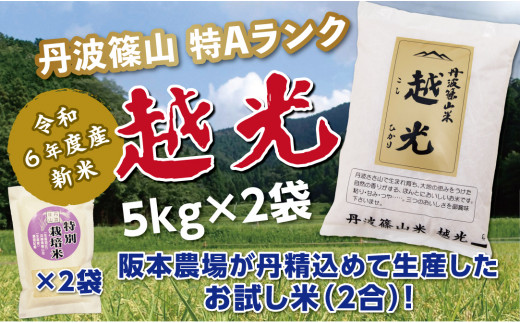 令和６年産　新米予約受付！！丹波篠山産特Aランク越光（５kｇ×２袋） 753842 - 兵庫県丹波篠山市