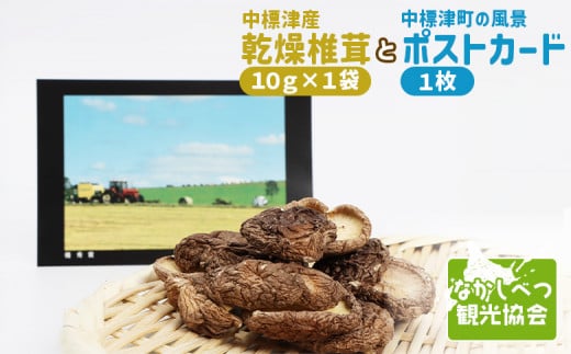 中標津産乾燥椎茸 １０ｇ×1袋　なかしべつ観光協会バージョン