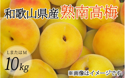 [梅干・梅酒用](LまたはM-10Kg)熟南高梅[2025年6月上旬〜7月上旬ごろに順次発送予定][art013A]