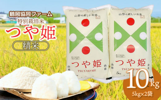 令和7年産先行予約】 特別栽培米つや姫 10kg (5kg×2袋) 山形県鶴岡産 鶴岡協同ファーム - 山形県鶴岡市｜ふるさとチョイス -  ふるさと納税サイト