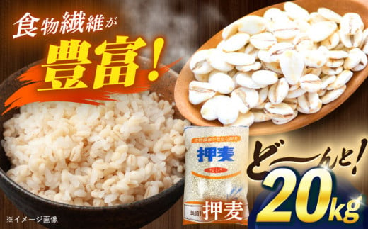 押麦「長崎100年麦 御島裸」1kg×20袋 押麦 押し麦 はだか麦 麦ごはん 雑穀 雑穀米