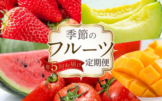 高知県南国市のふるさと納税 【10～1月受付／年5回お届け】季節のフルーツセット（2024年度受付）｜フルーツ 定期便 いちご フルーツトマト スイカ マンゴー メロン フルーツ 苺 旬 果物 くだもの 贈答 ギフト 人気 おすすめ 高知県 南国市