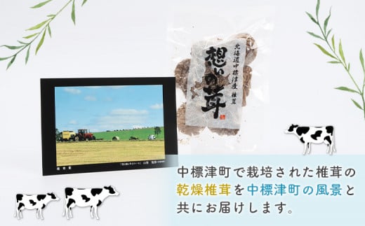 中標津産乾燥椎茸 １０ｇ×1袋　なかしべつ観光協会バージョン