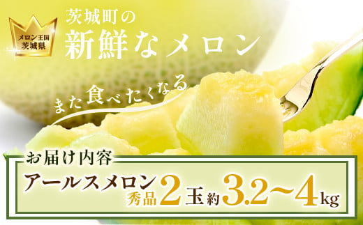 茨城県茨城町のふるさと納税 177茨城県JA水戸産アールスメロン【秀品】（2玉）【2024年8月下旬頃より発送予定】