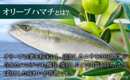 香川県産オリーブハマチのぶりしゃぶセット|株式会社Japan Seafood Table