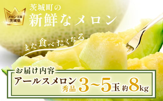 茨城県茨城町のふるさと納税 015茨城県JA水戸産アールスメロン【秀品】約8kg（3~5玉）【2024年8月上旬頃より順次発送予定】