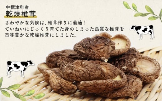 中標津産乾燥椎茸 １０ｇ×1袋　なかしべつ観光協会バージョン