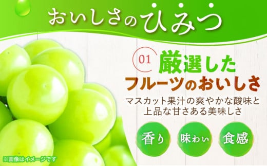 たっぷり290g 濃い0kcal マスカット 36個  カロリーゼロ ゼリー ぜりー フルーツゼリー 果物 フルーツ