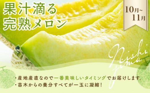 高知県南国市のふるさと納税 【6～9月受付／年3回お届け】季節のフルーツセット（2024年度受付）｜フルーツ 定期便 スイカ マンゴー メロン フルーツ 旬 果物 くだもの 贈答 ギフト 人気 おすすめ 高知県 南国市