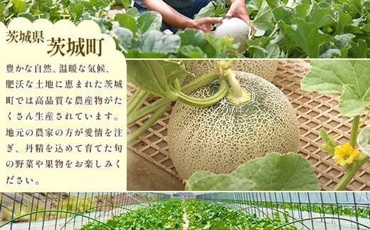 茨城県茨城町のふるさと納税 015茨城県JA水戸産アールスメロン【秀品】約8kg（3~5玉）【2024年8月上旬頃より順次発送予定】