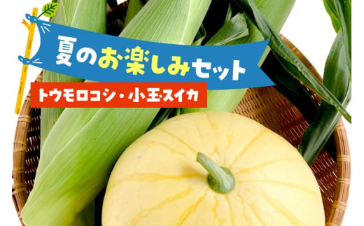 夏のお楽しみセット とうもろこし3本～5本と小玉スイカ1個のセット 1417389 - 群馬県沼田市